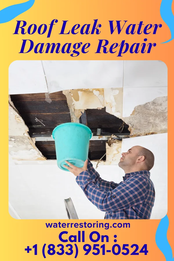 Roof Leak Water Damage Repair in Fenton, IA