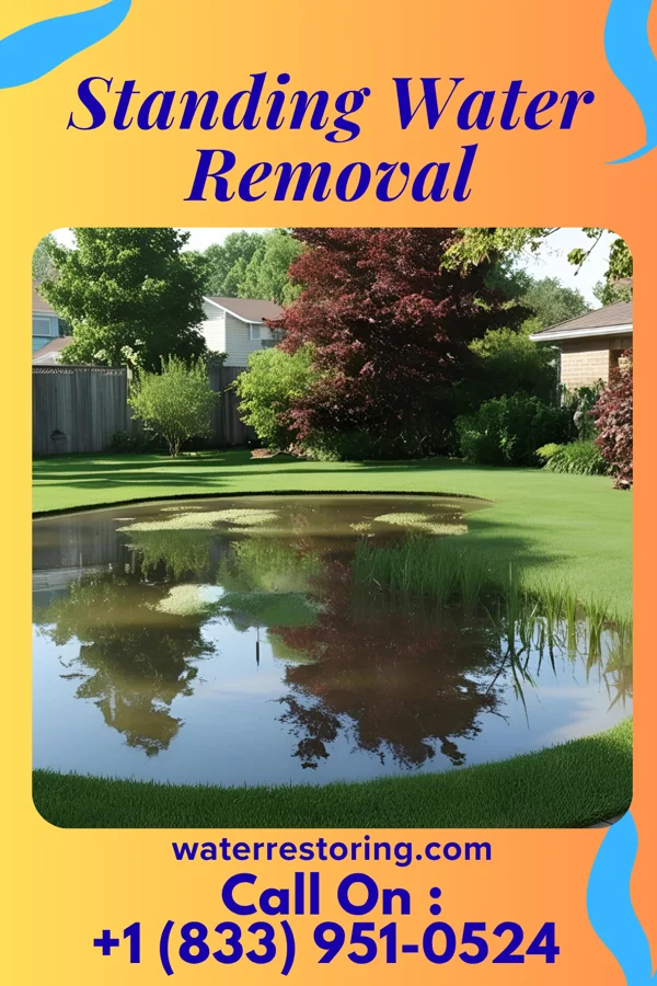 Standing Water Removal in Fenton, IA